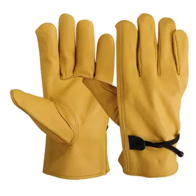 driver-gloves-tbi-124-572389-1721382381