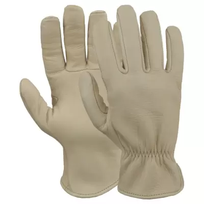 goat-skin-leather-gloves-tbi-177-684364-1721383334